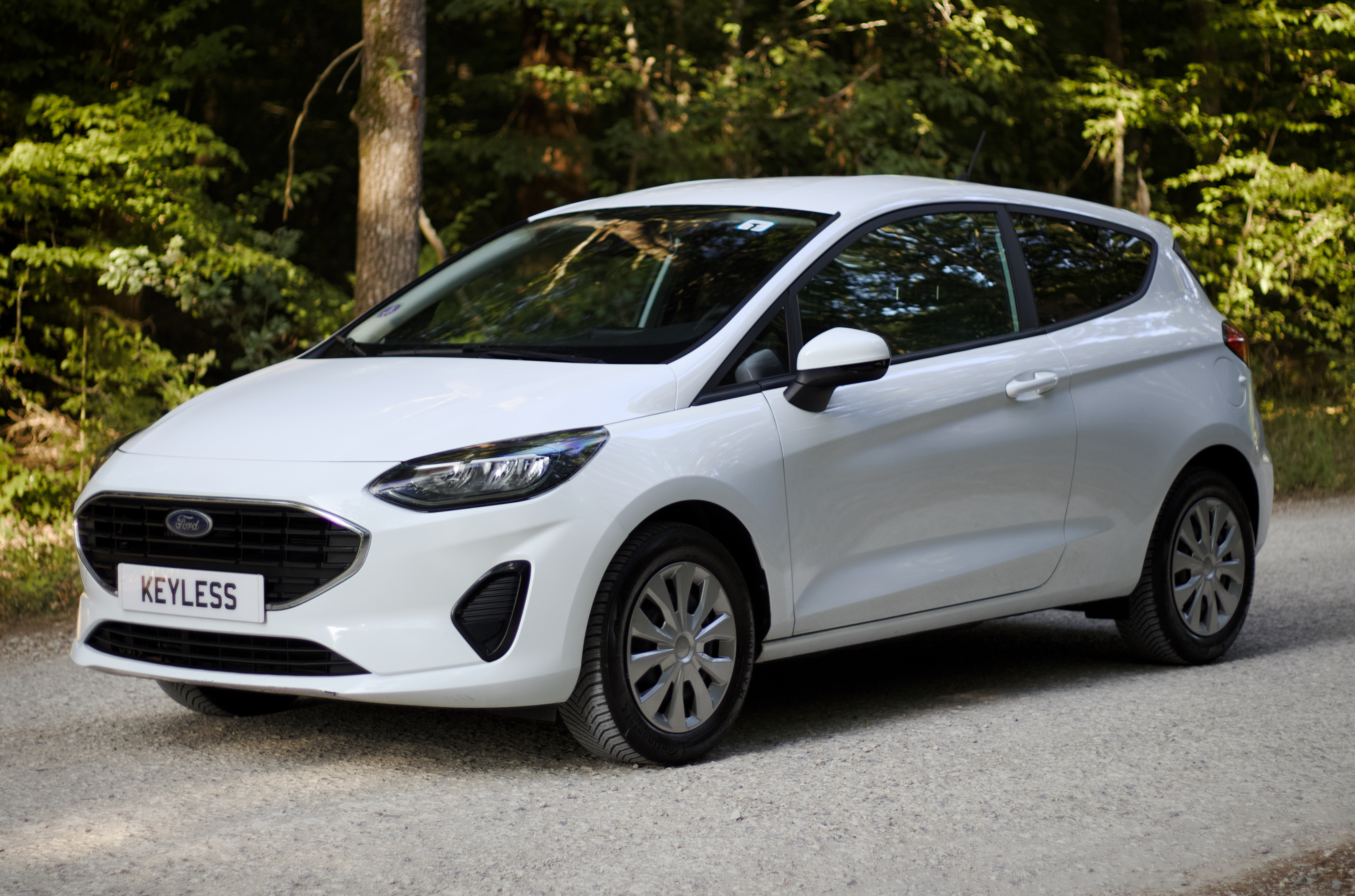 Ford Fiesta Van